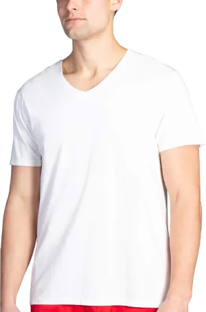 Fishers Finery Men's Classic V-Neck Comfort Soft Keep Tucked Undershirt - Breathable Cotton Modal Blend T-Shirt