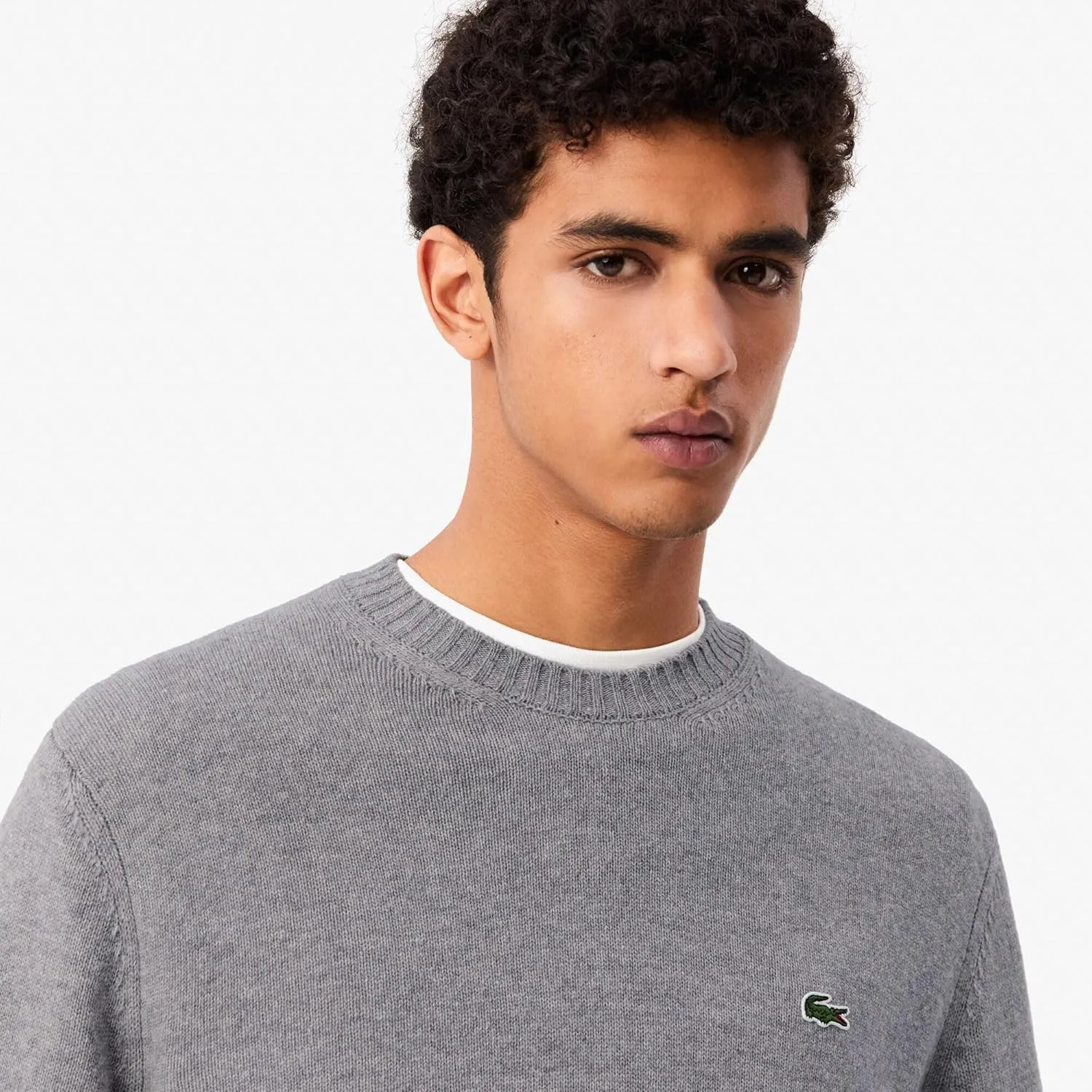 Lacoste Men's Carded Wool Crew Neck Sweater